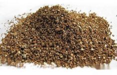 蛭石在园艺领域有哪些作用