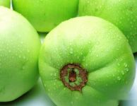 香瓜大图图片大全!香瓜高清大图一览!