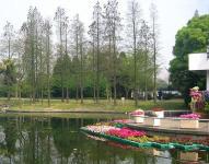 上海植物园完成夏日景观布置