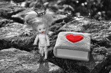 吉娃娃（吉娃莲）的养护方法