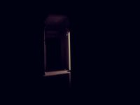 兰科花卉可分为哪两大类？各有什么特点