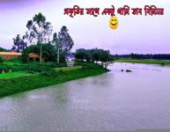 夏堇的养殖方法和注意事项，喜光照多浇水/预防病虫害