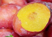 梅子哪里产的最好