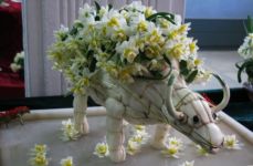 怎样雕刻水仙：净化、刻叶、削叶缘、雕花梗、戳花心等工序