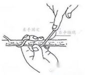 罗汉松什么时候才可以开始整型