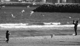 怎样制作石硫合剂，有哪些用途？