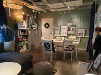 哪些盆景适宜放在空调房内